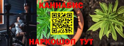 прущие грибы Апшеронск