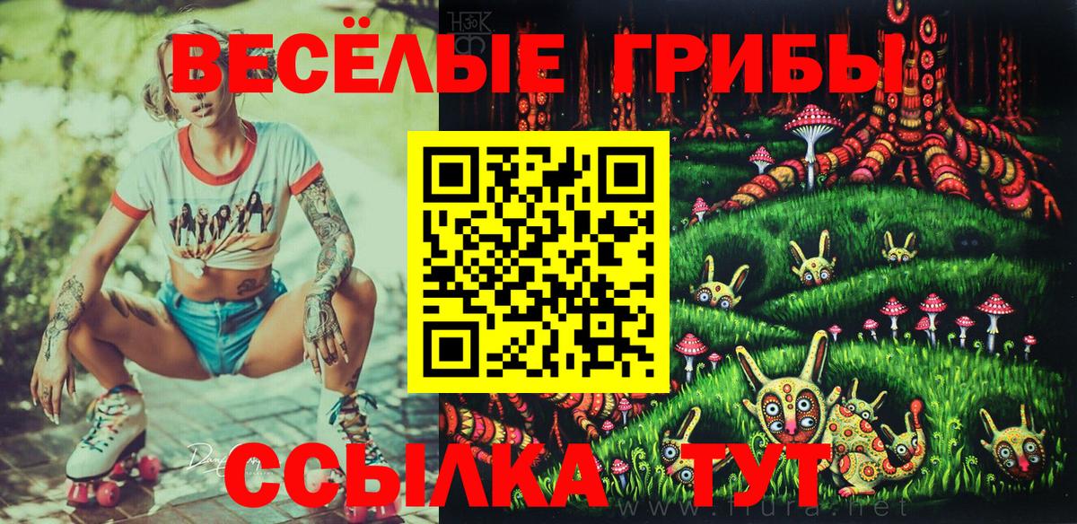 Псилоцибиновые грибы Psilocybe  Вход с VPN  Бахчисарай  Галлюциногенные грибы ЛСД 
